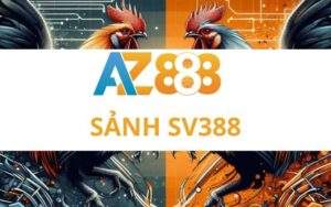 sv388 2 2